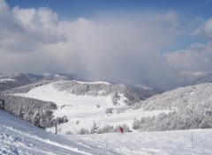 Fonds d'cran Nature Rouge Gazon Vosges