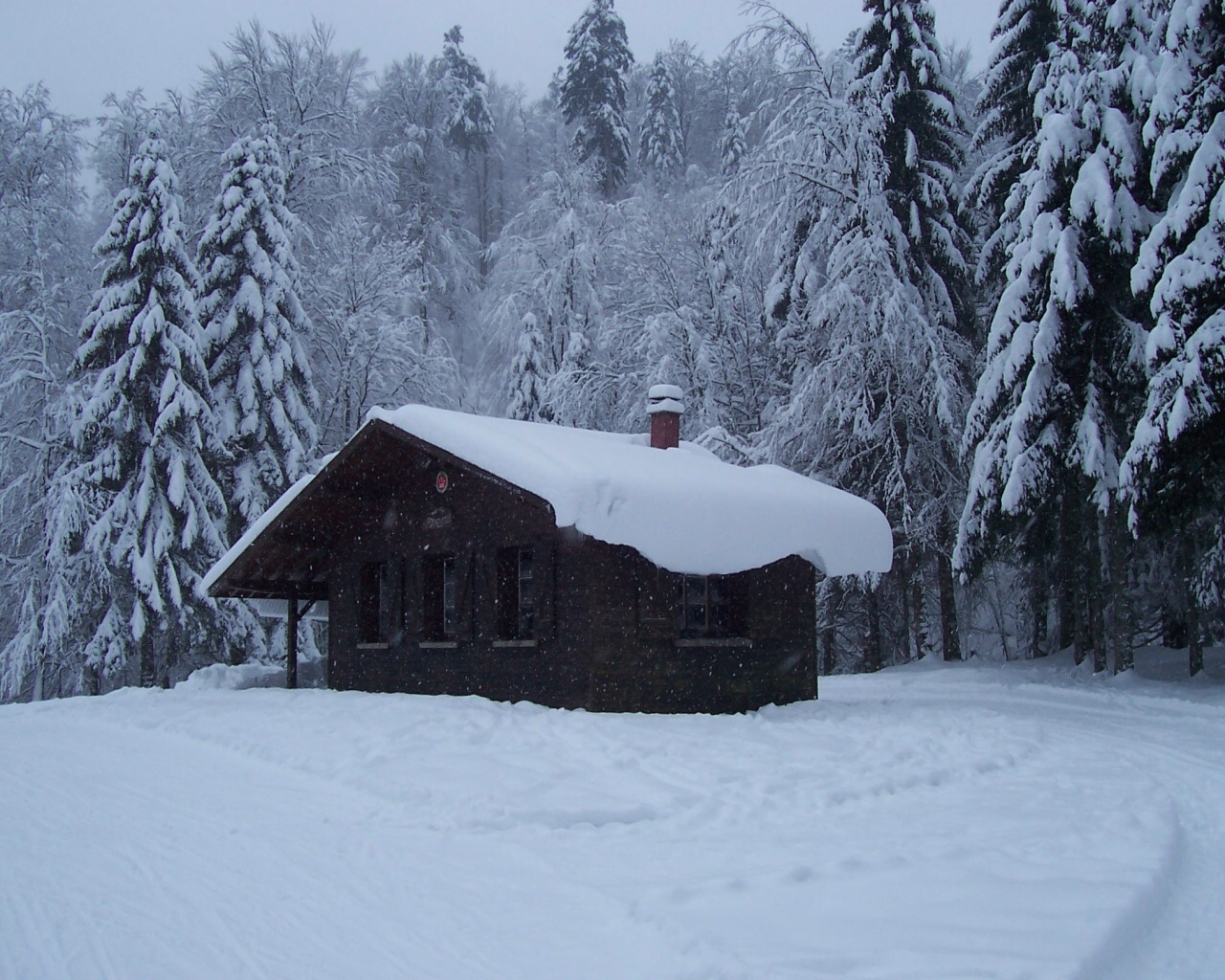 Wallpapers Nature Saisons - Winter Chalet dans les Vosges