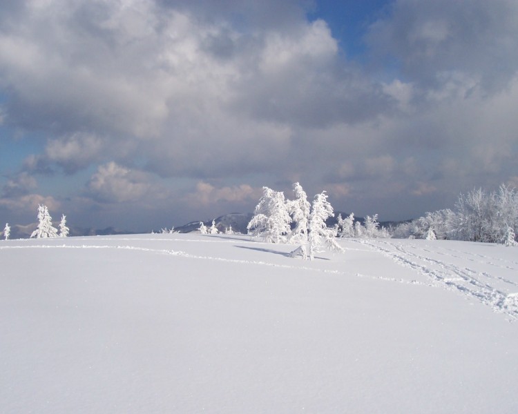 Fonds d'cran Nature Saisons - Hiver Les Vosges sous la neige