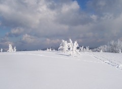 Fonds d'cran Nature Les Vosges sous la neige