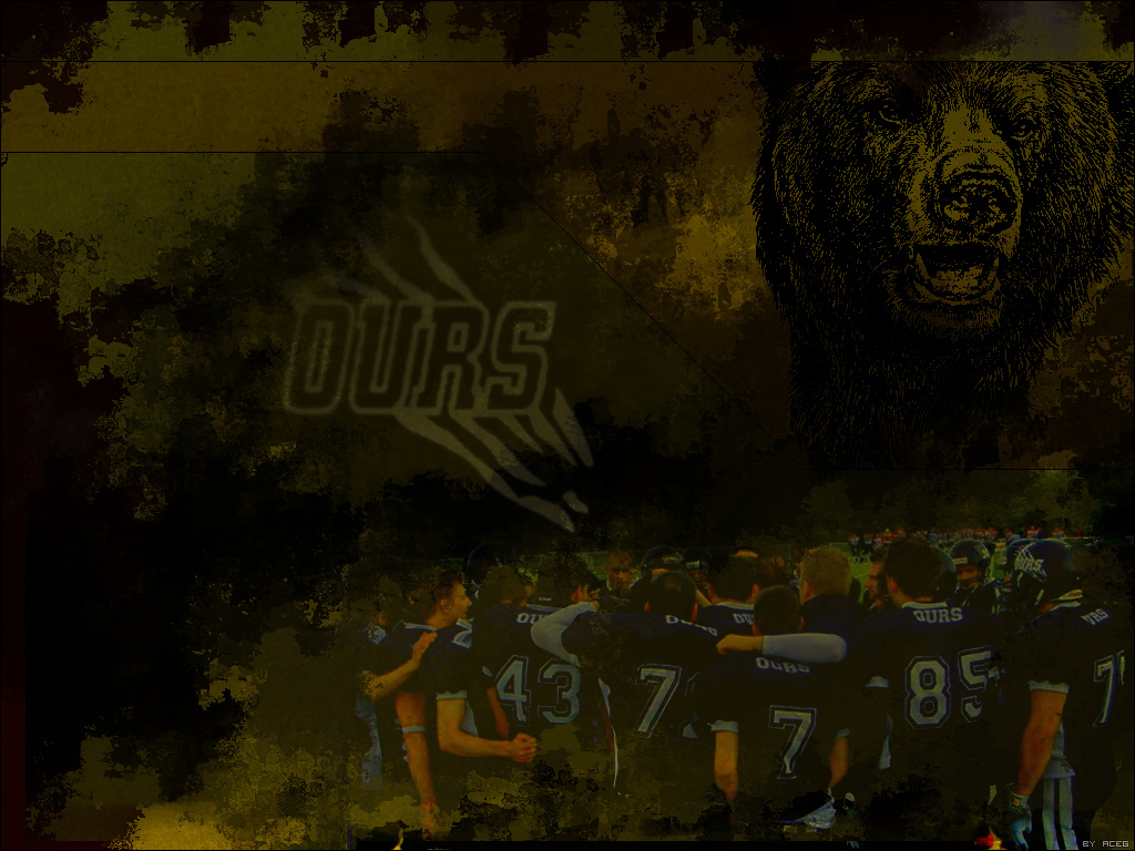 Wallpapers Sports - Leisures American Football OURS - Toulouse