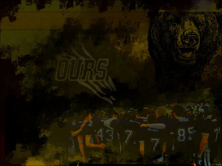 Wallpapers Sports - Leisures American Football OURS - Toulouse