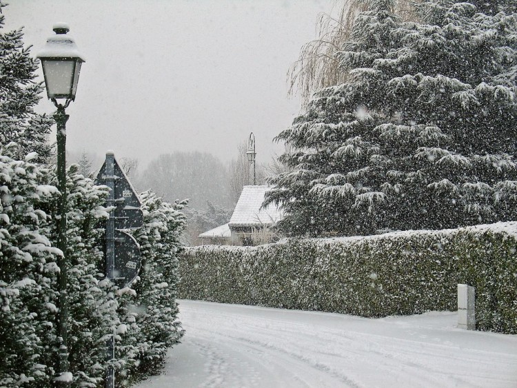 Fonds d'cran Nature Campagne CHAPONNAY (Rhne) sous la neige -Dcembre 2006