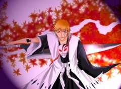 Fonds d'cran Manga ichigo