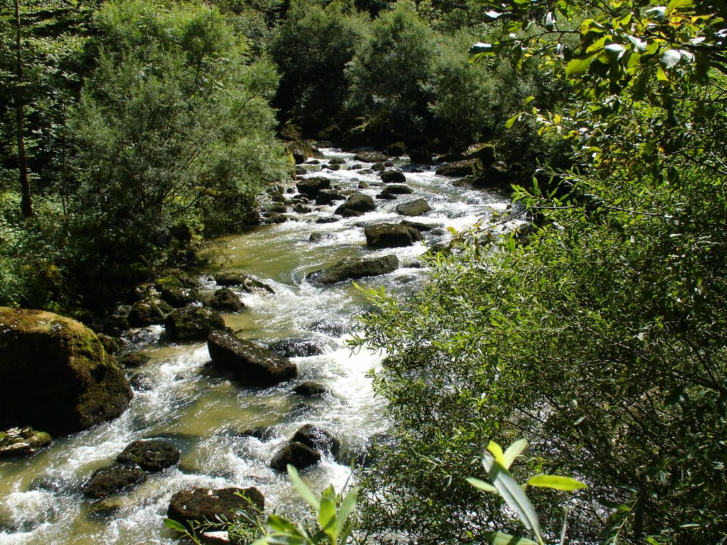 Fonds d'cran Nature Cascades - Chutes Cascade du Flumen  ST.CLAUDE(Jura)