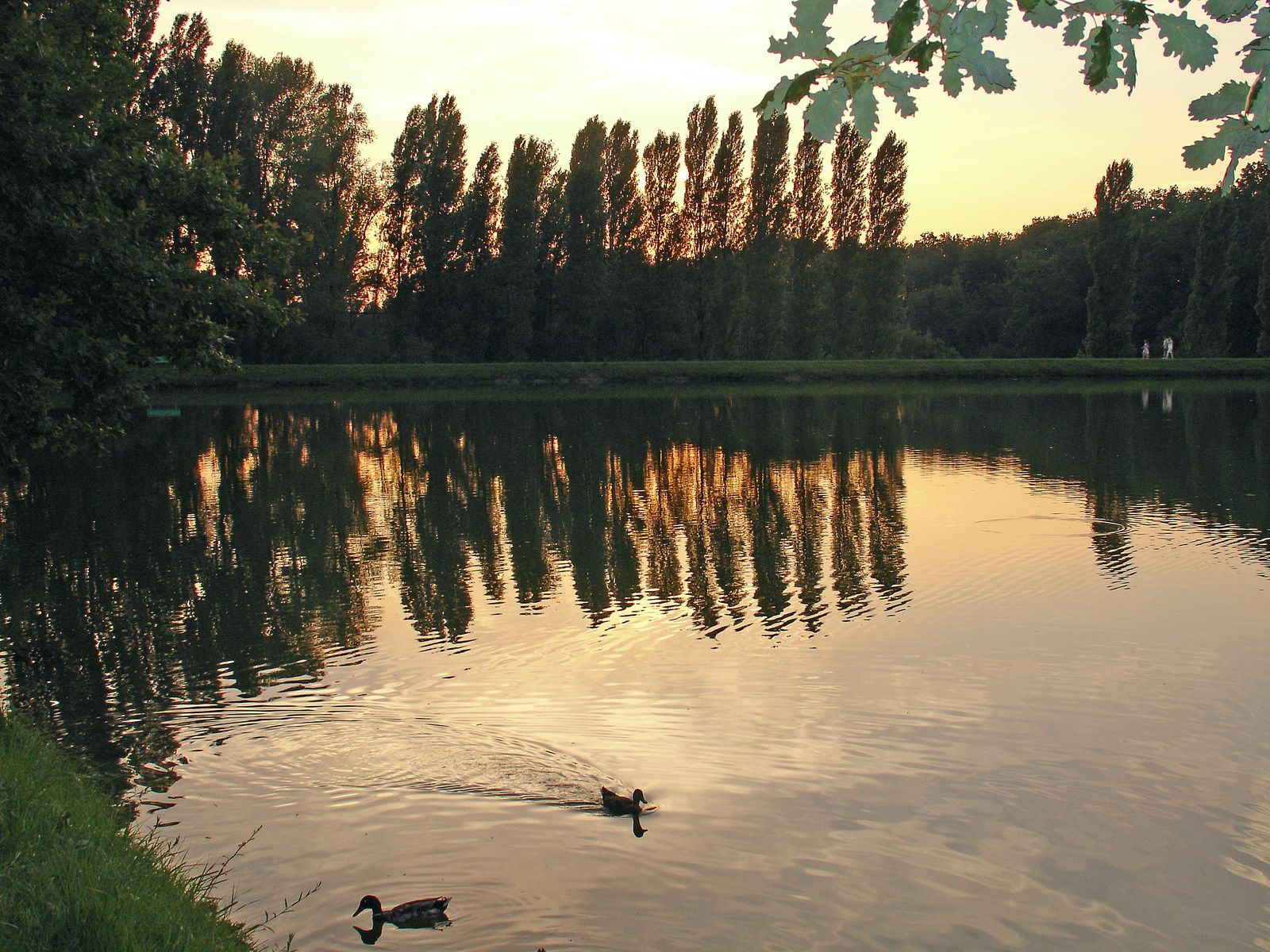 Wallpapers Nature Sunsets and sunrises Coucher de soleil sur lac de Monflanquin(Tarn et Garonne)