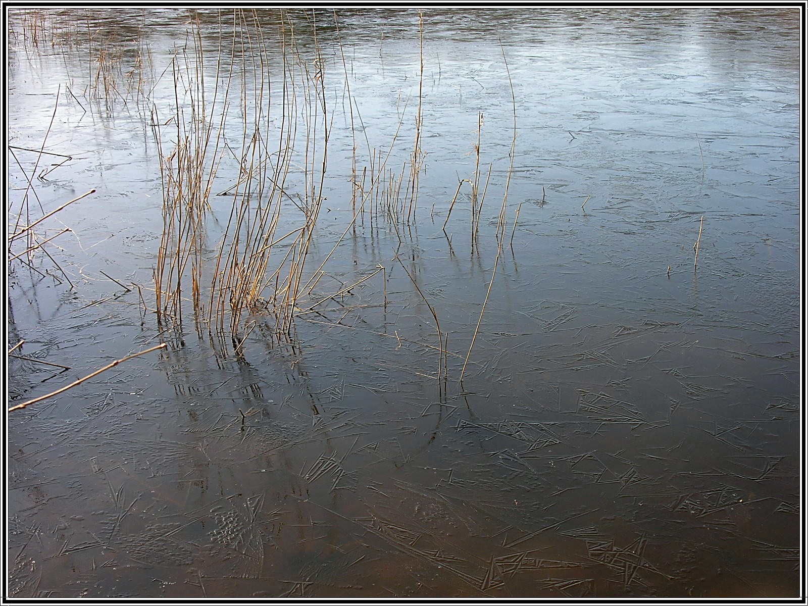 Wallpapers Nature Water Fracheur