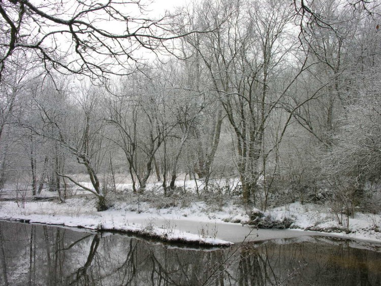 Fonds d'cran Nature Saisons - Hiver Parure hivernale