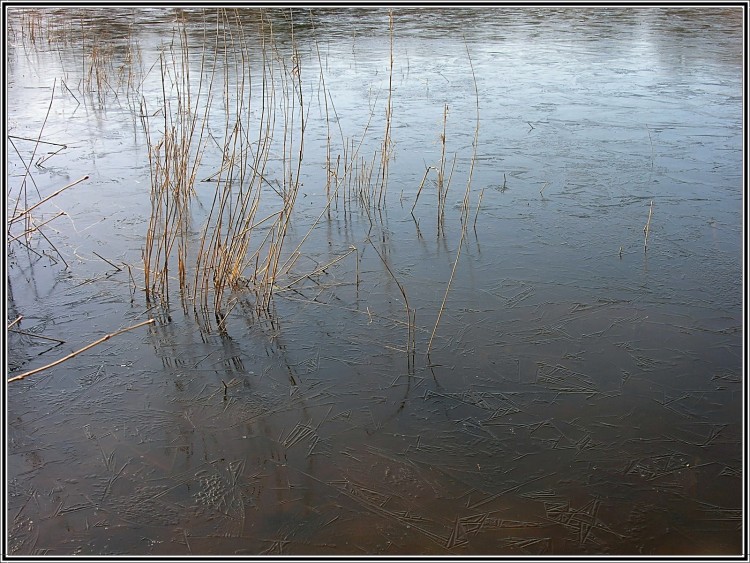 Wallpapers Nature Water Fracheur