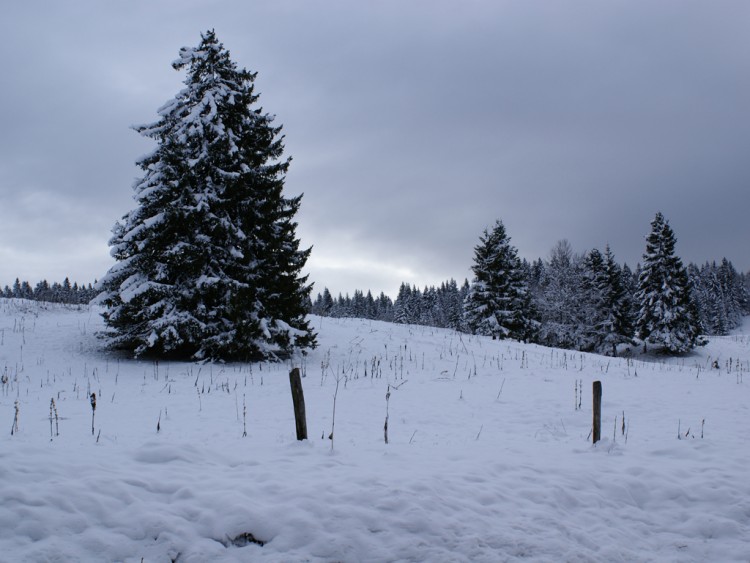 Fonds d'cran Nature Montagnes le haut jura sous la neige