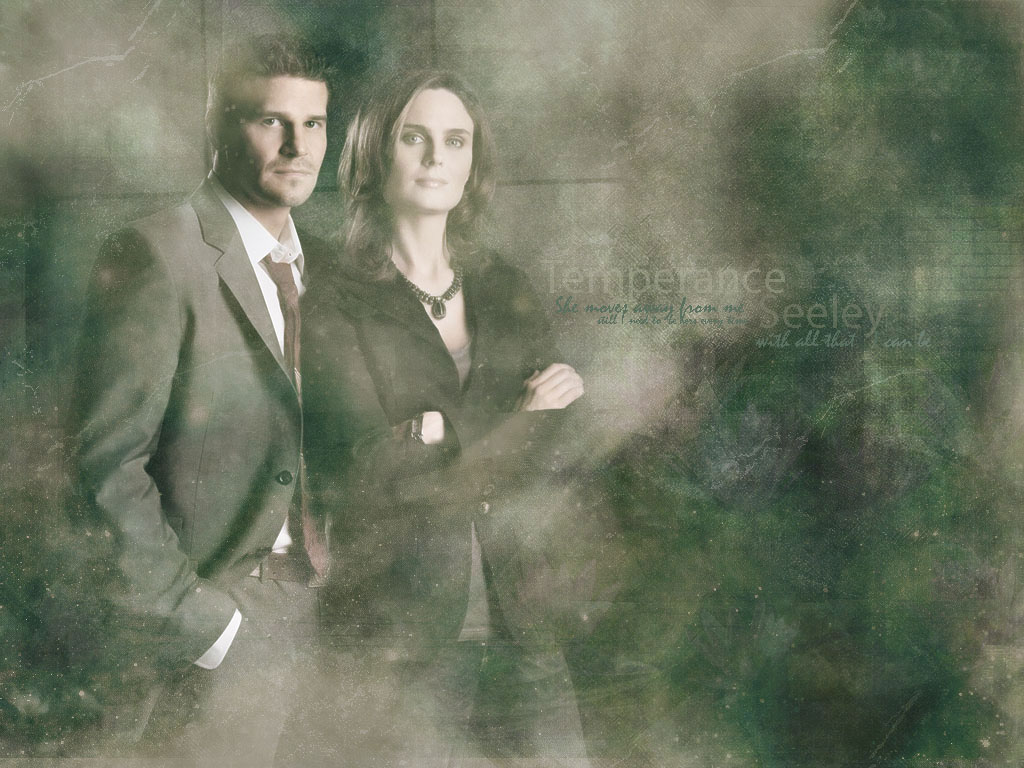 Wallpapers TV Soaps Bones Bones