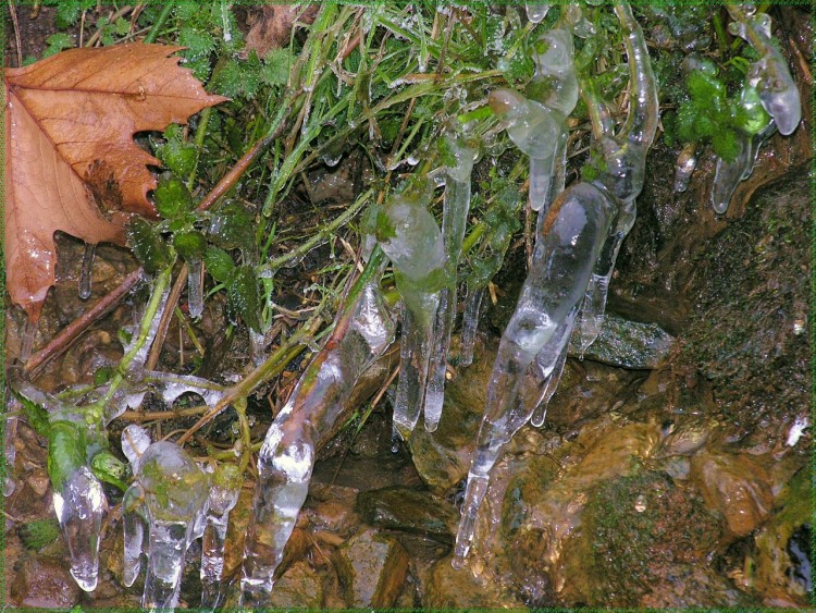 Fonds d'cran Nature Saisons - Hiver Glaons