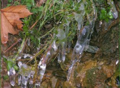 Fonds d'cran Nature Glaons