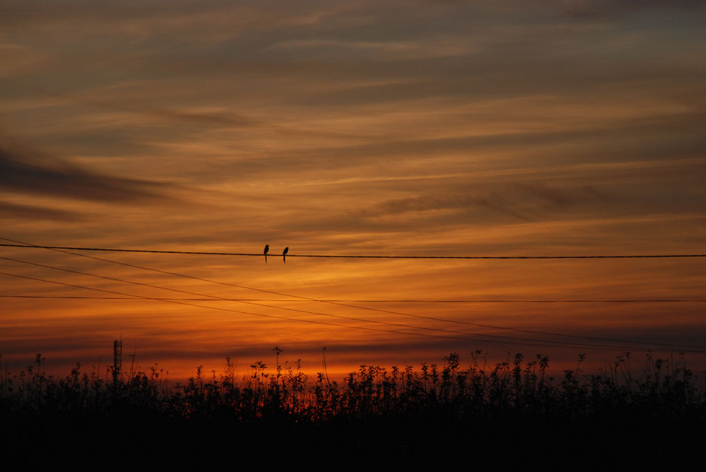 Wallpapers Nature Skies - Clouds Oiseaux amoureux