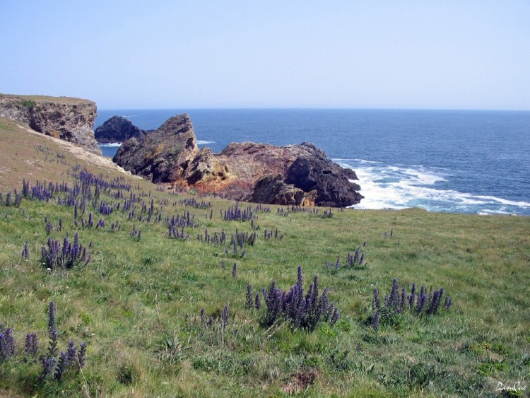 Fonds d'cran Voyages : Europe France > Bretagne Belle-Ile en mer