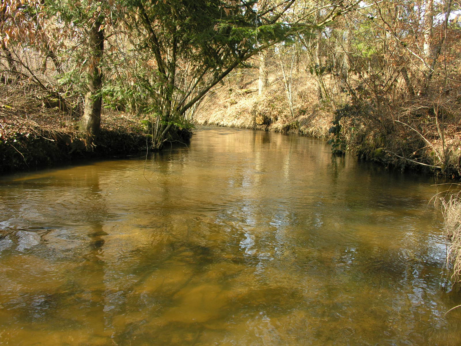 Fonds d'cran Nature Fleuves - Rivires - Torrents La valoine