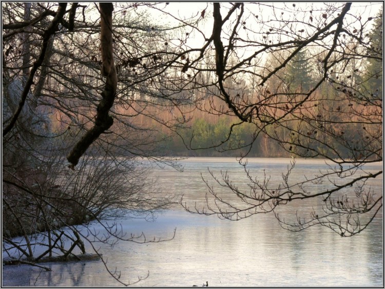 Fonds d'cran Nature Lacs - Etangs Promenade