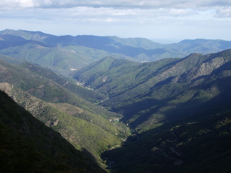 Wallpapers Trips : Europ France > Languedoc-Roussillon mont aigoual