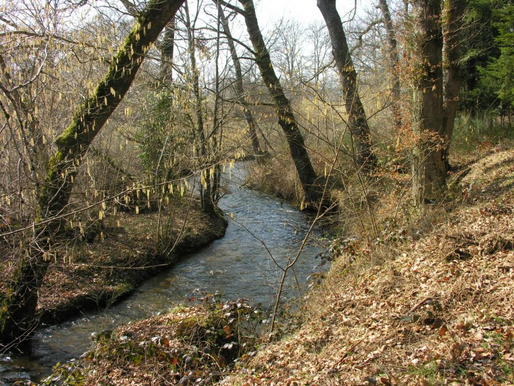 Fonds d'cran Nature Fleuves - Rivires - Torrents Randonn