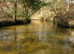 Fonds d'cran Nature La valoine