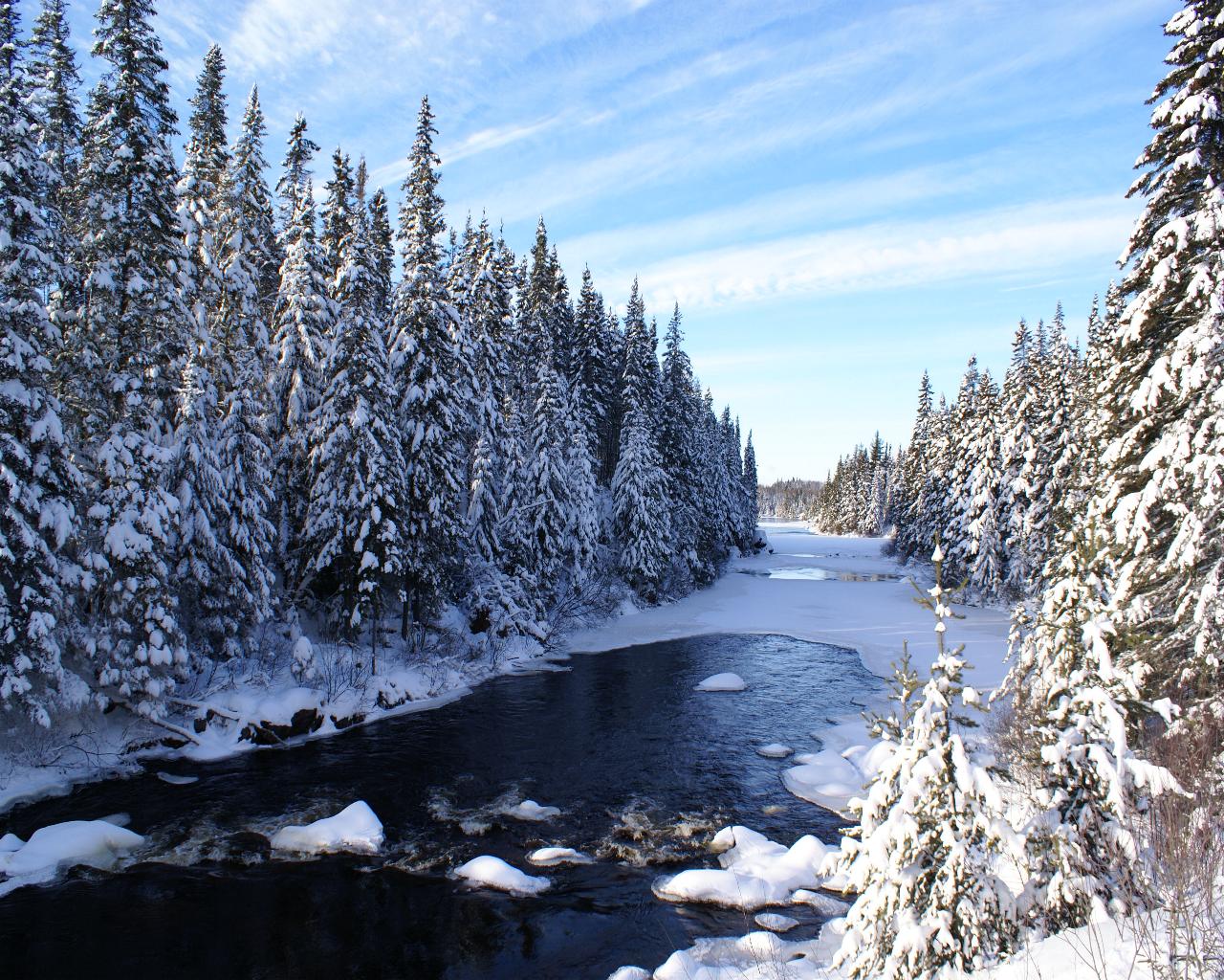 Fonds d'cran Nature Saisons - Hiver C'EST L'HIVER