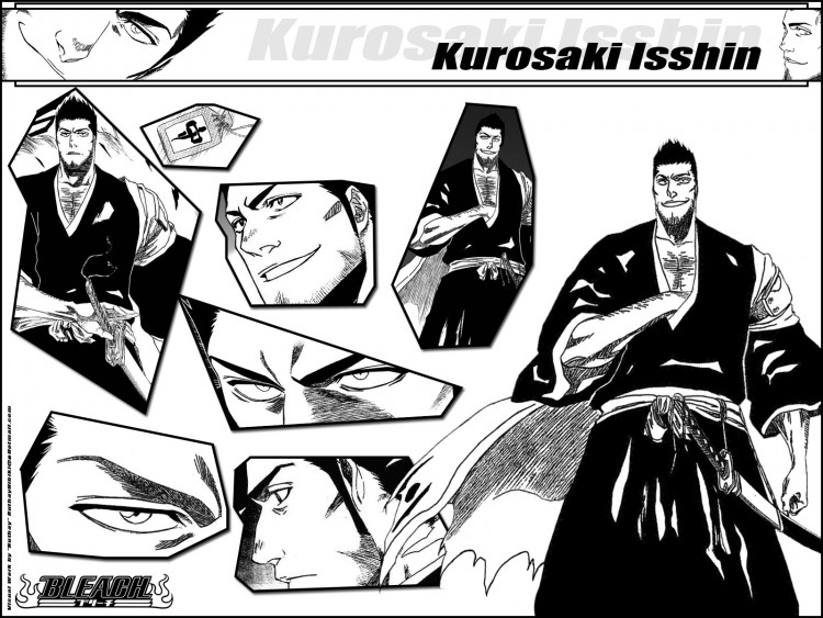 Fonds d'cran Manga Bleach Ruthay Bleach Kurosaki Isshin 01