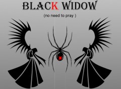 Fonds d'cran Art - Numrique the black widow