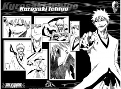 Wallpapers Manga Ruthay Bleach Kurosaki Ichigo 02