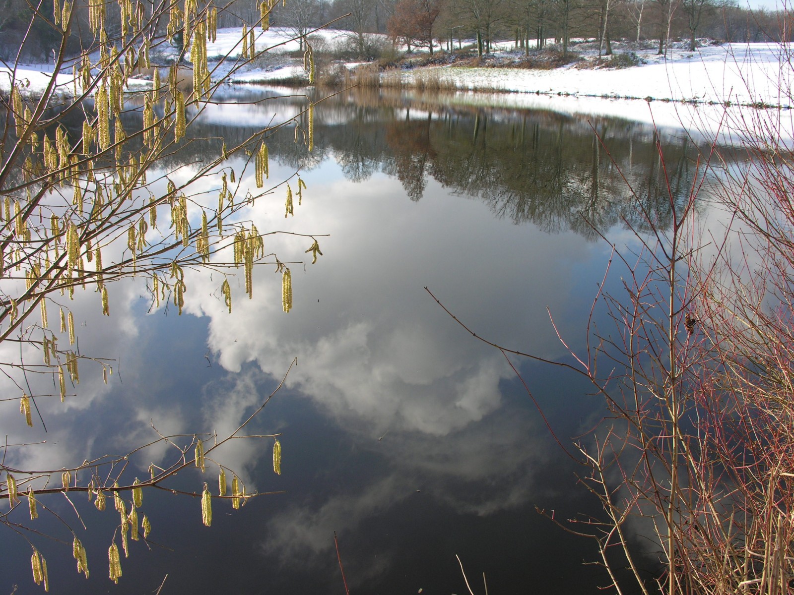 Wallpapers Nature Water - Reflection Transparence