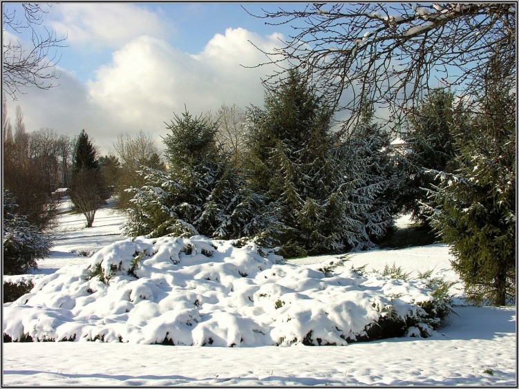 Fonds d'cran Nature Saisons - Hiver parc enneig