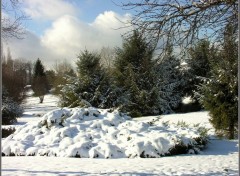 Fonds d'cran Nature parc enneig