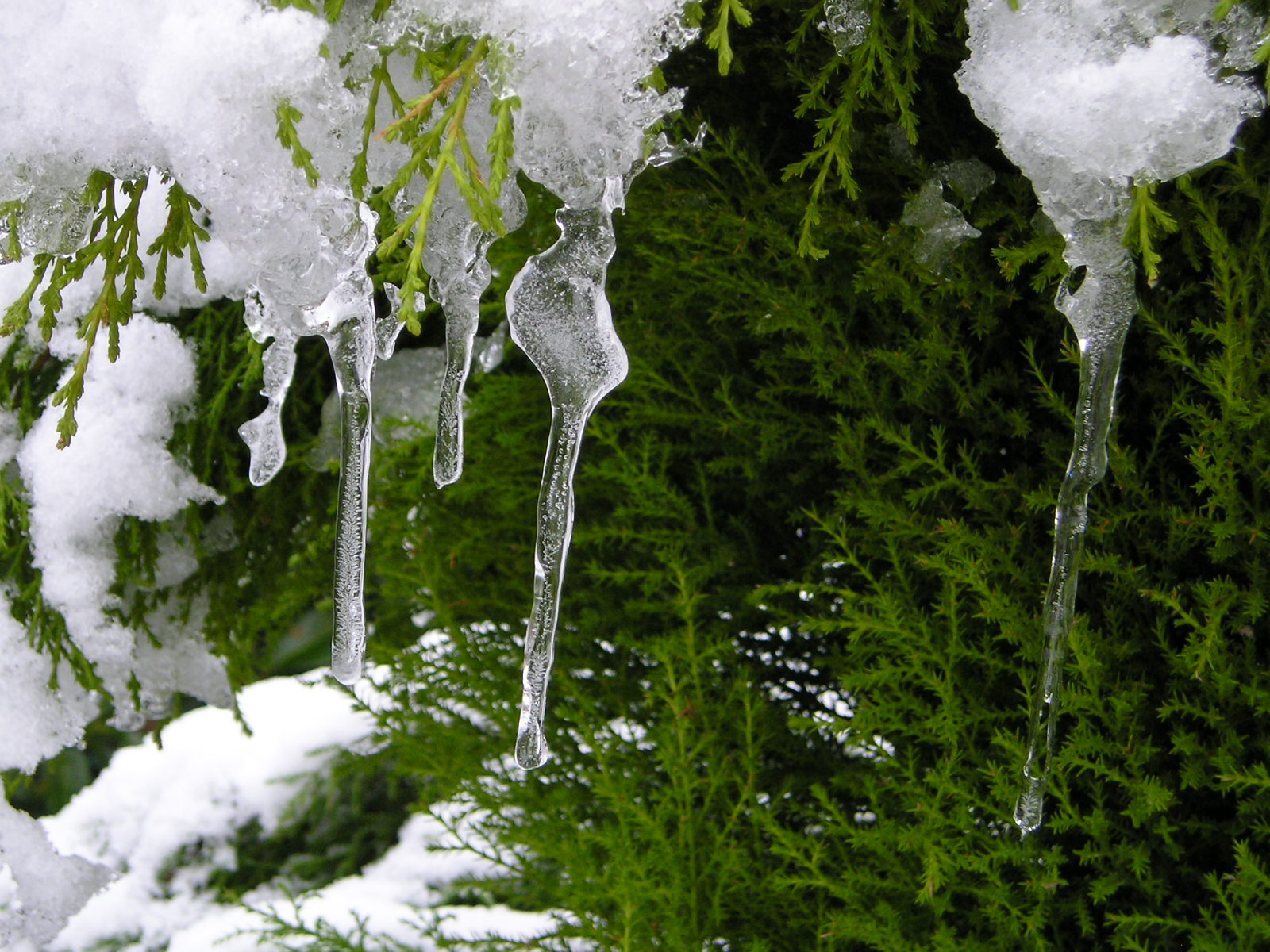 Wallpapers Nature Saisons - Winter 