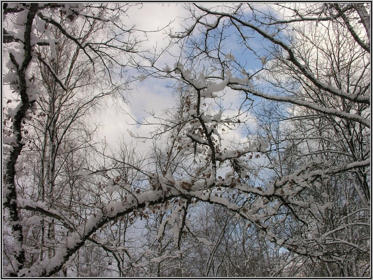 Fonds d'cran Nature Saisons - Hiver Ciel en fte