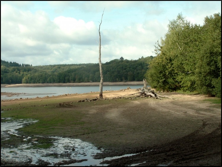 Fonds d'cran Nature Lacs - Etangs Vidange lac St Pardoux