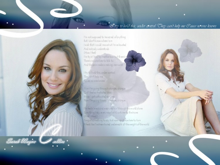 Fonds d'cran Clbrits Femme Sarah Wayne Callies Wallpaper N162293