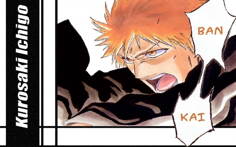 Fonds d'cran Manga Bleach Bankai!!!