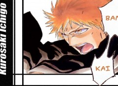 Fonds d'cran Manga Bankai!!!