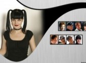 Wallpapers Celebrities Women NCIS