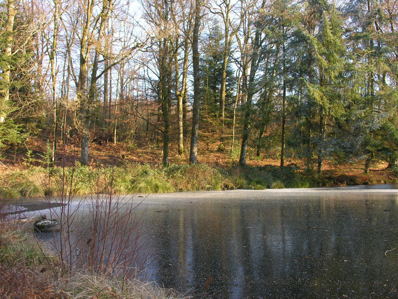 Fonds d'cran Nature Lacs - Etangs Ballade hivernale