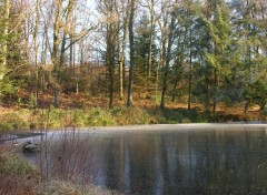 Fonds d'cran Nature Ballade hivernale