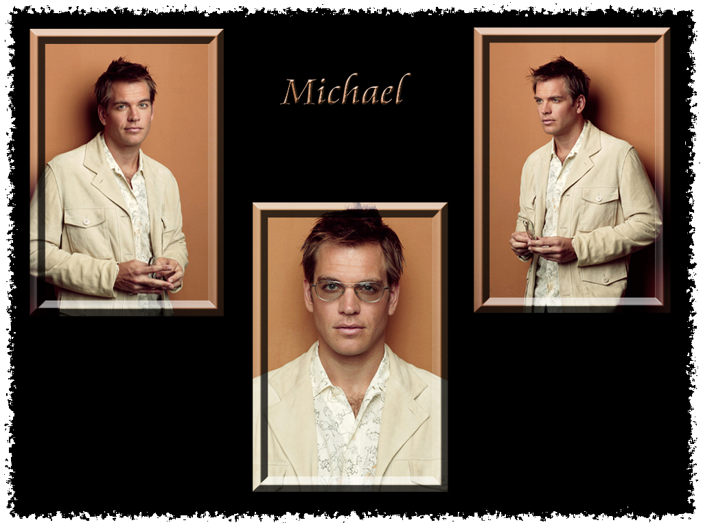 Fonds d'cran Clbrits Homme Michael Weatherly Michael 3