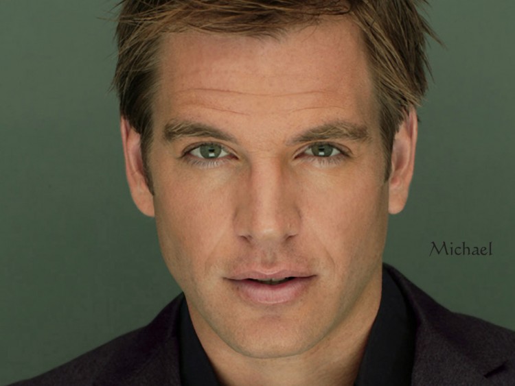 Fonds d'cran Clbrits Homme Michael Weatherly Michael