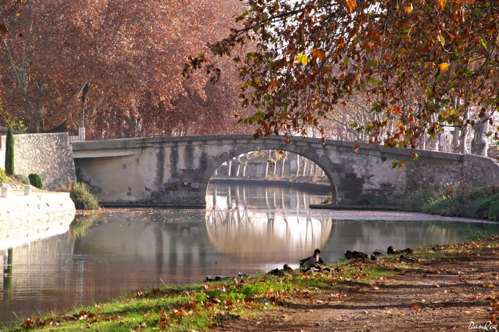 Fonds d'cran Nature Eau Canal du midi