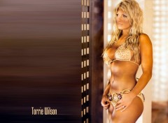 Fonds d'cran Clbrits Femme torrie-wilson