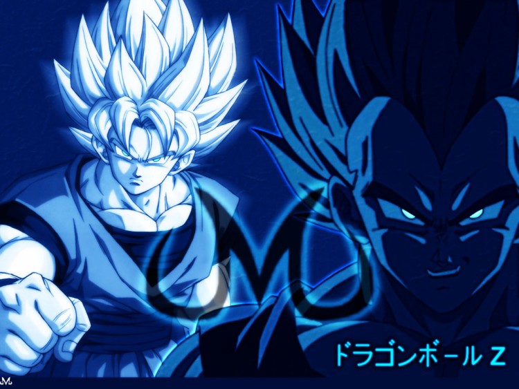 Fonds d'cran Manga Dragon Ball Z Majin