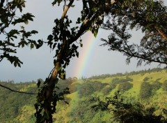 Fonds d'cran Nature arc en ciel