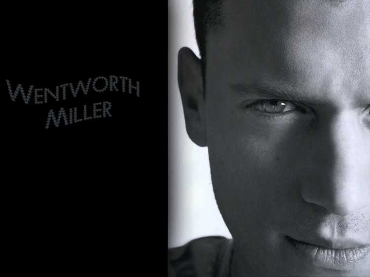 Fonds d'cran Clbrits Homme Wentworth Miller Wentworth Miller