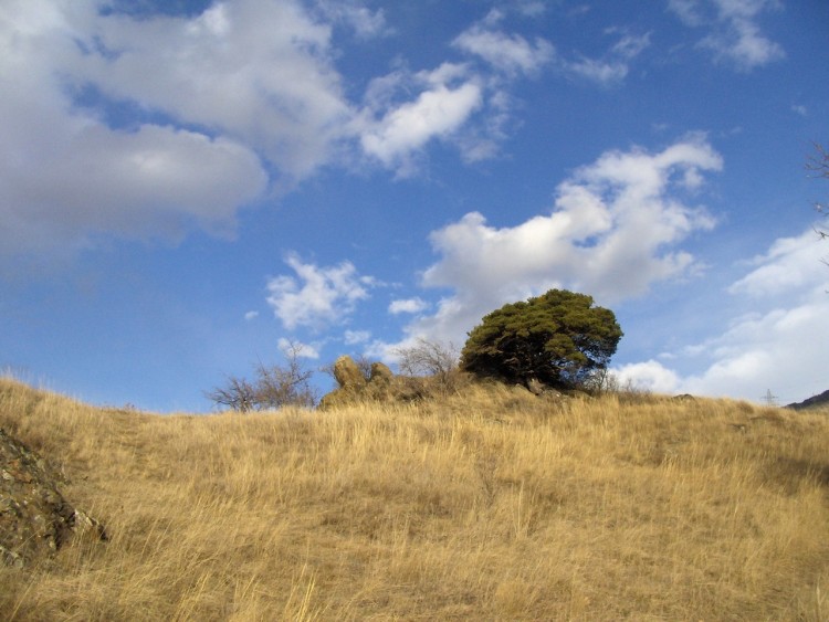 Fonds d'cran Nature Ciel - Nuages Wallpaper N162873