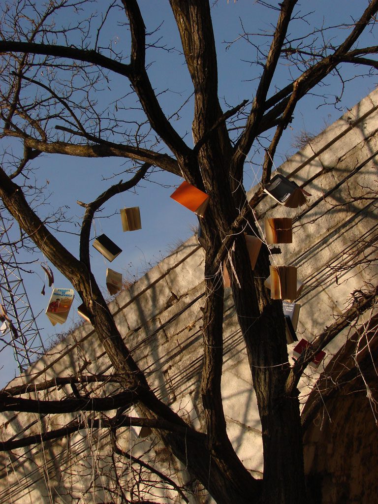 Fonds d'cran Nature Arbres - Forts Des livres accrochs dans des arbres