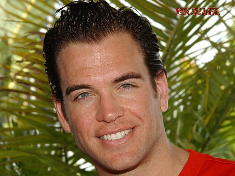 Fonds d'cran Clbrits Homme Michael Weatherly Michael W